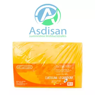 Cartulina Legajadora x 50 Pappier